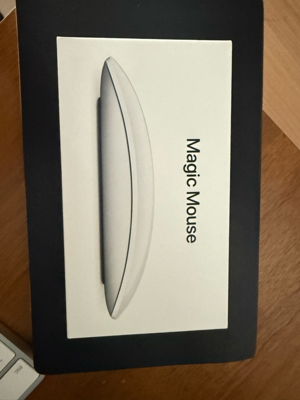 Apple Magic Mouse in White and Silver Accents